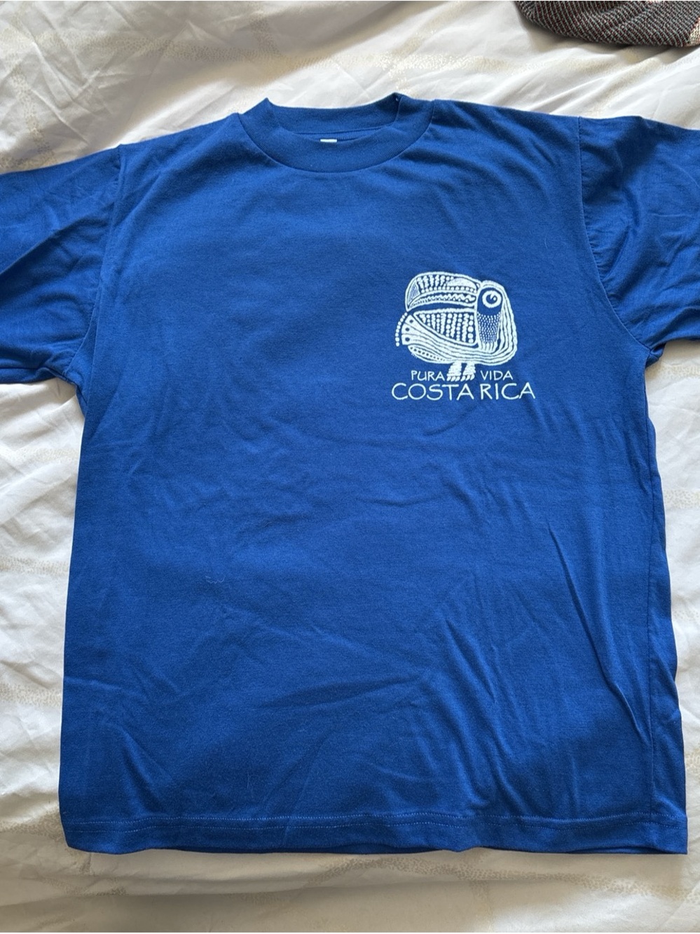 Costa Rica 'Pura Vida' Blue Graphic Tee